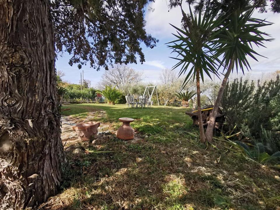 Bed & Breakfast Villa Flora Eredita Extérieur photo